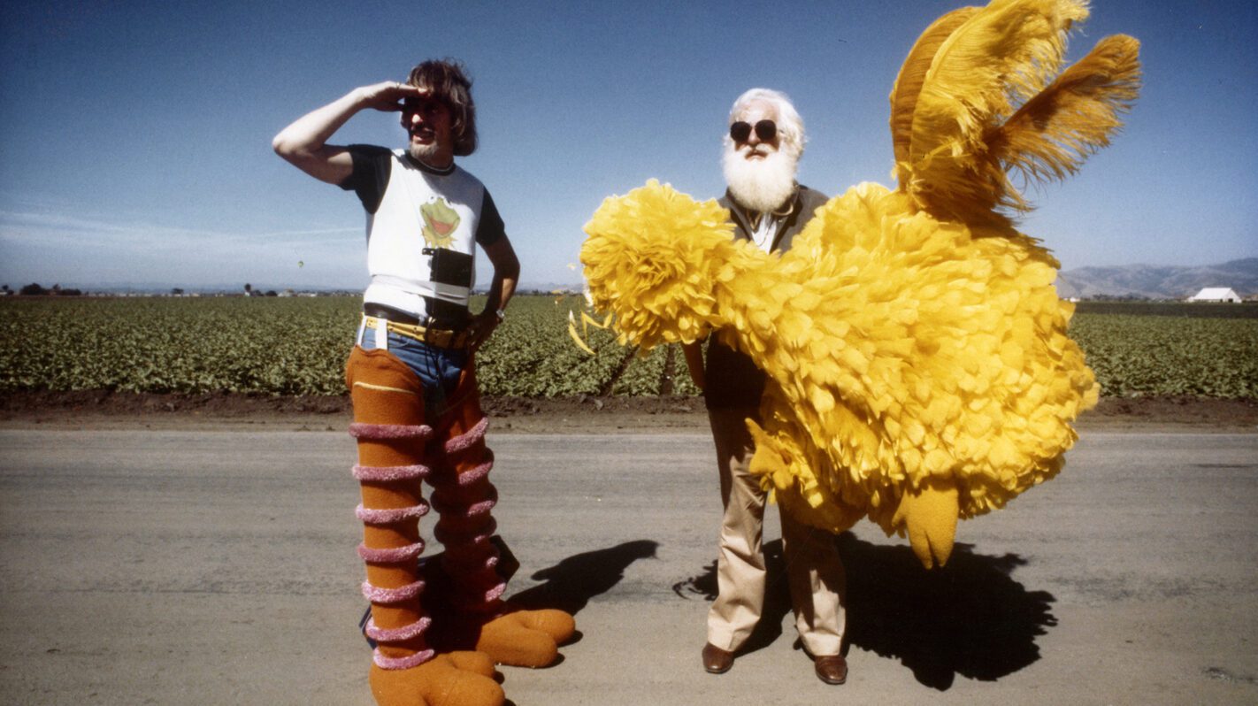IamBigBirdFINAL