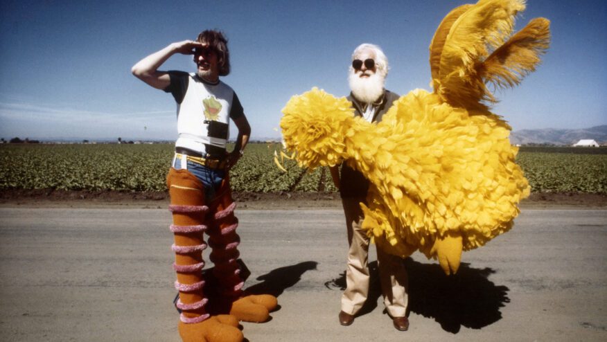 IamBigBirdFINAL