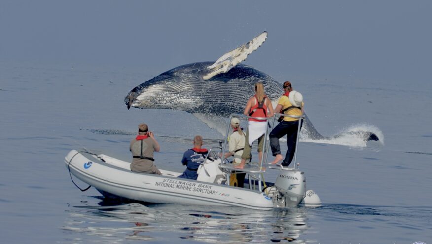 Ocean Frontiers FINAL Image
