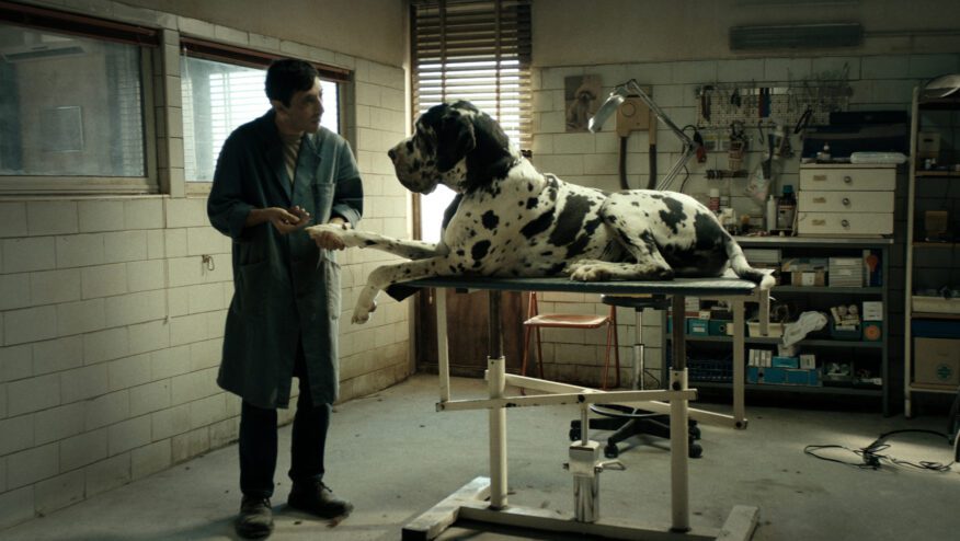 DOGMAN_Marcello Fonte_Untitled_1.2.1-2 (1)_Untitled_1.8.1 (1)