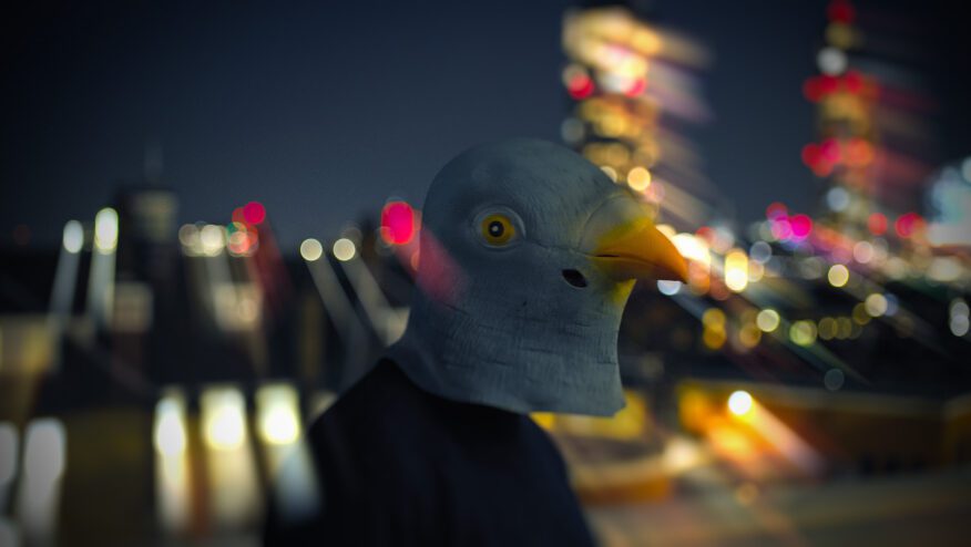 Pigeon_FINAL